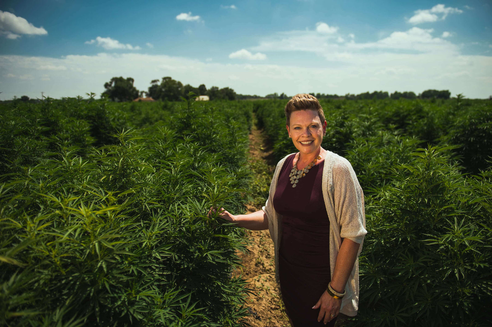 What Is CBD Oil? Our 2023 Ultimate Guide