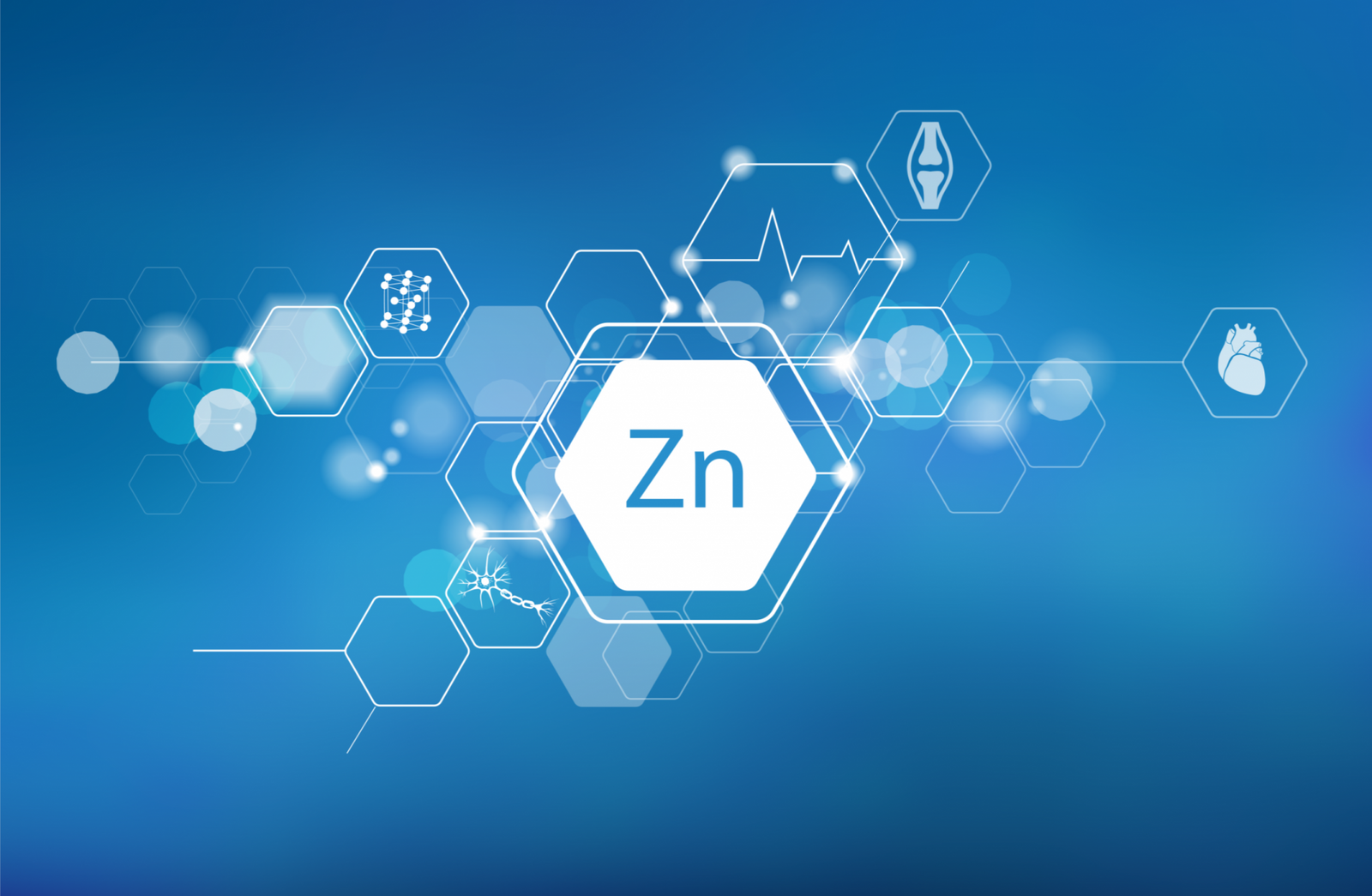 What is Zinc and What Does It Do?
