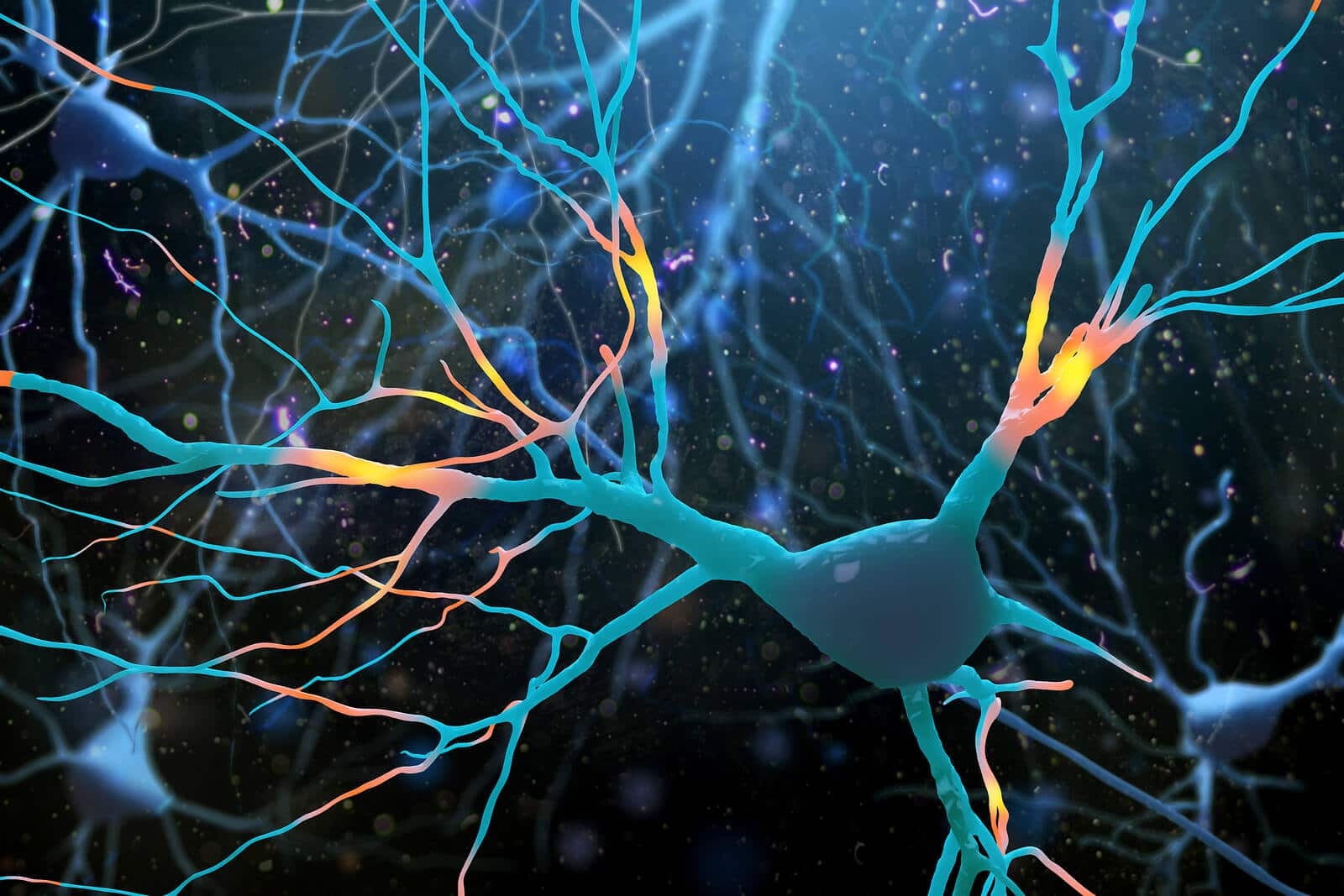 CBD and the Endocannabinoid System (Beginners Guide)