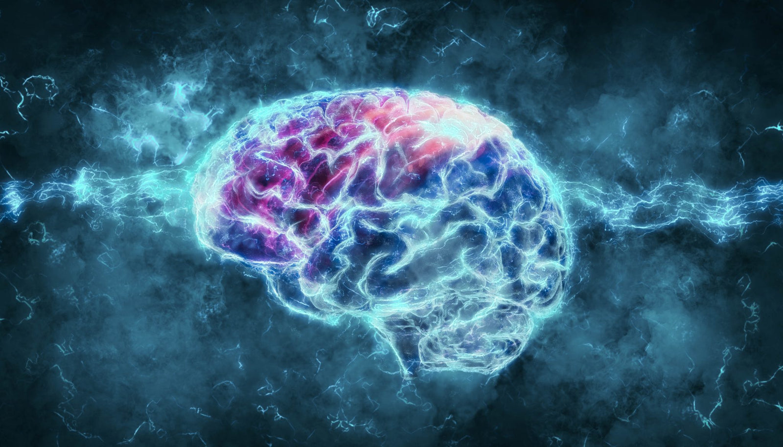 How CBD Works in The Brain