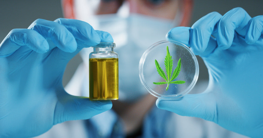 Delta 8 to THC Conversion: How Does It Happen?