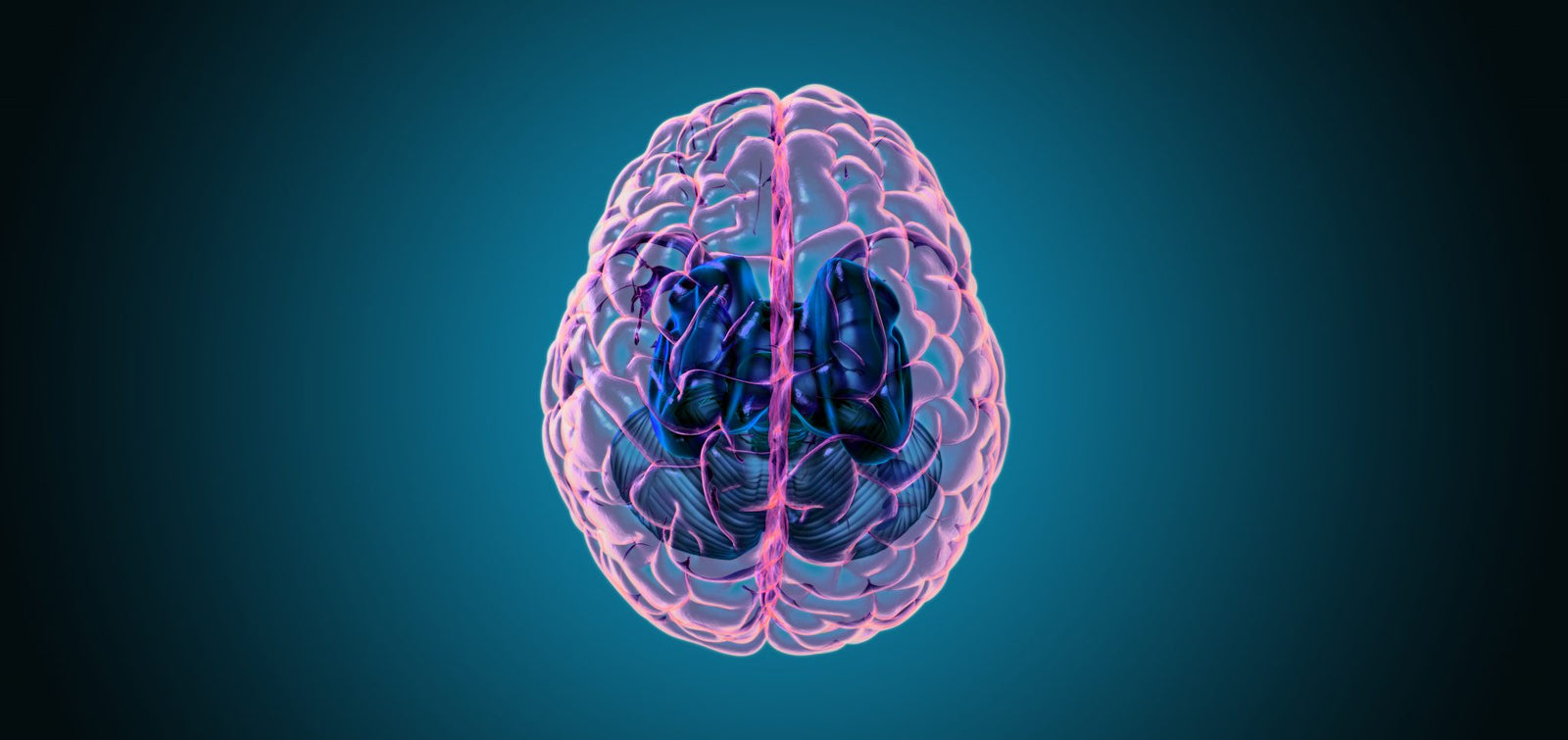 Is CBD A Nootropic For The Brain? Everything You Need To Know