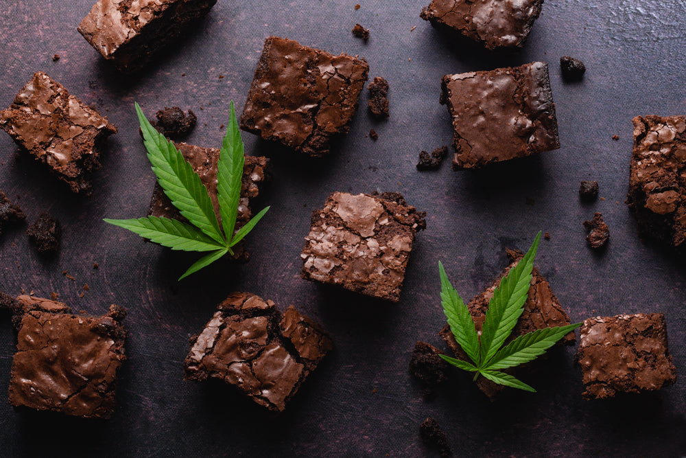 Do THC Edibles Go Bad?