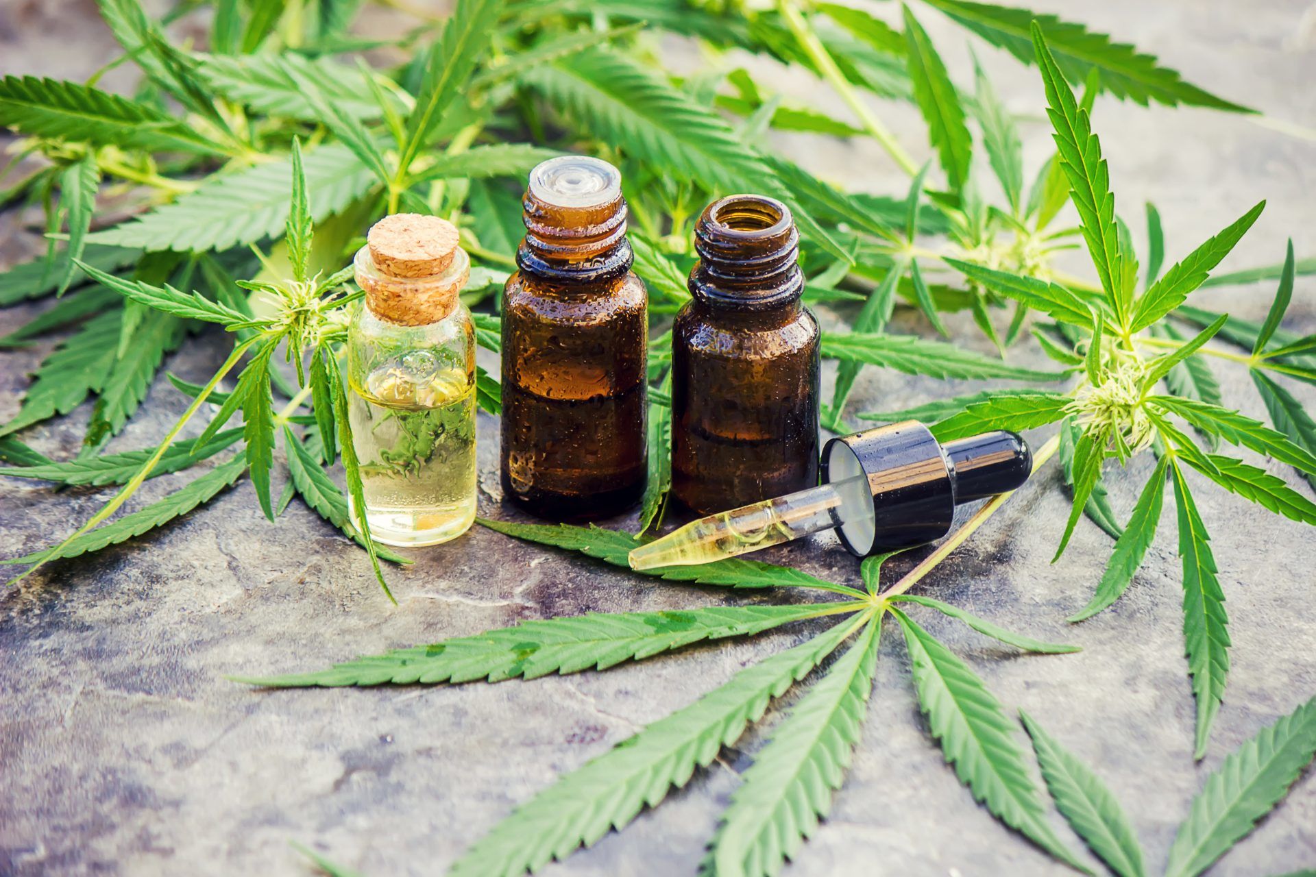 THC Oil: Everything You Need to Know