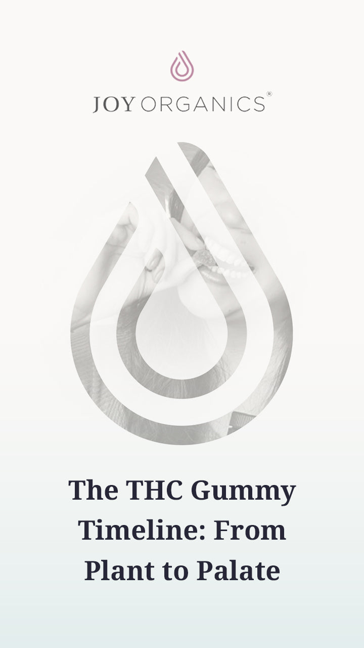 The THC Gummy Journey: Crafting Quality at Joy Organics