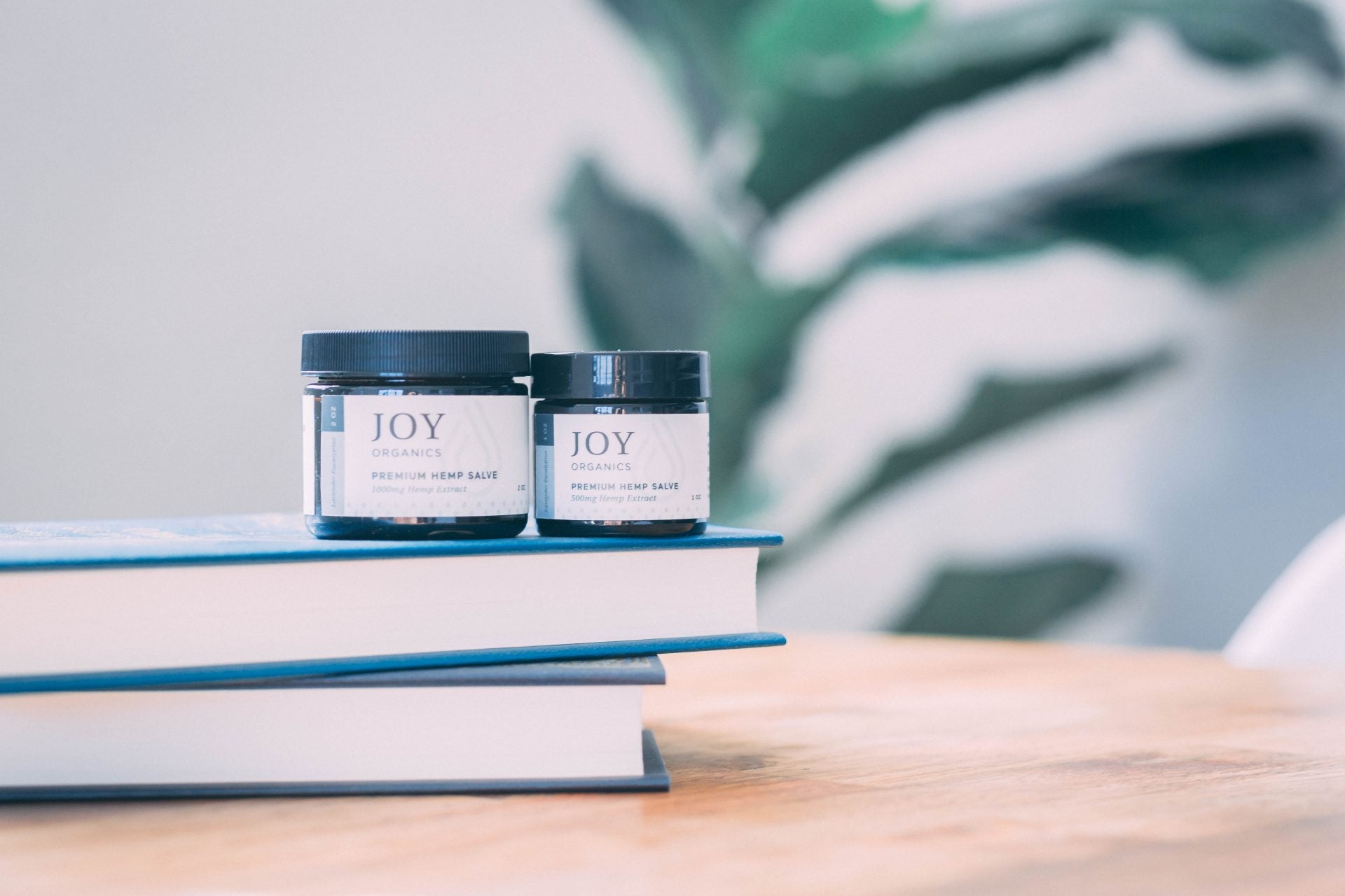 Top 5 Facts about CBD