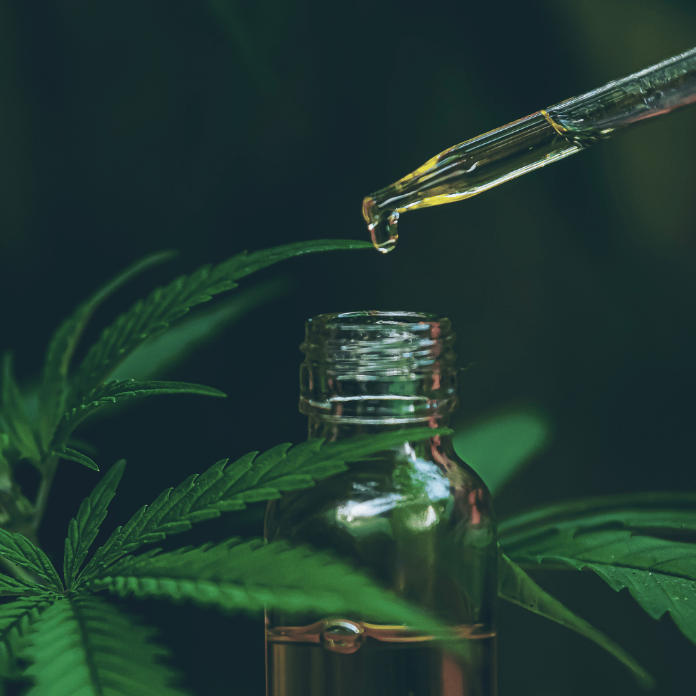 What is CBG Oil? And How is it Different from CBD?