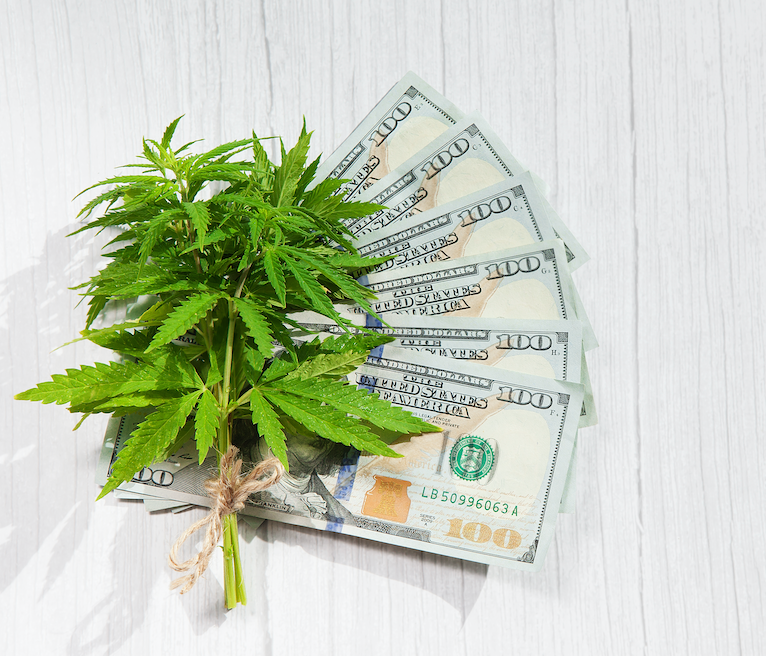The Economic Benefits of Hemp Production