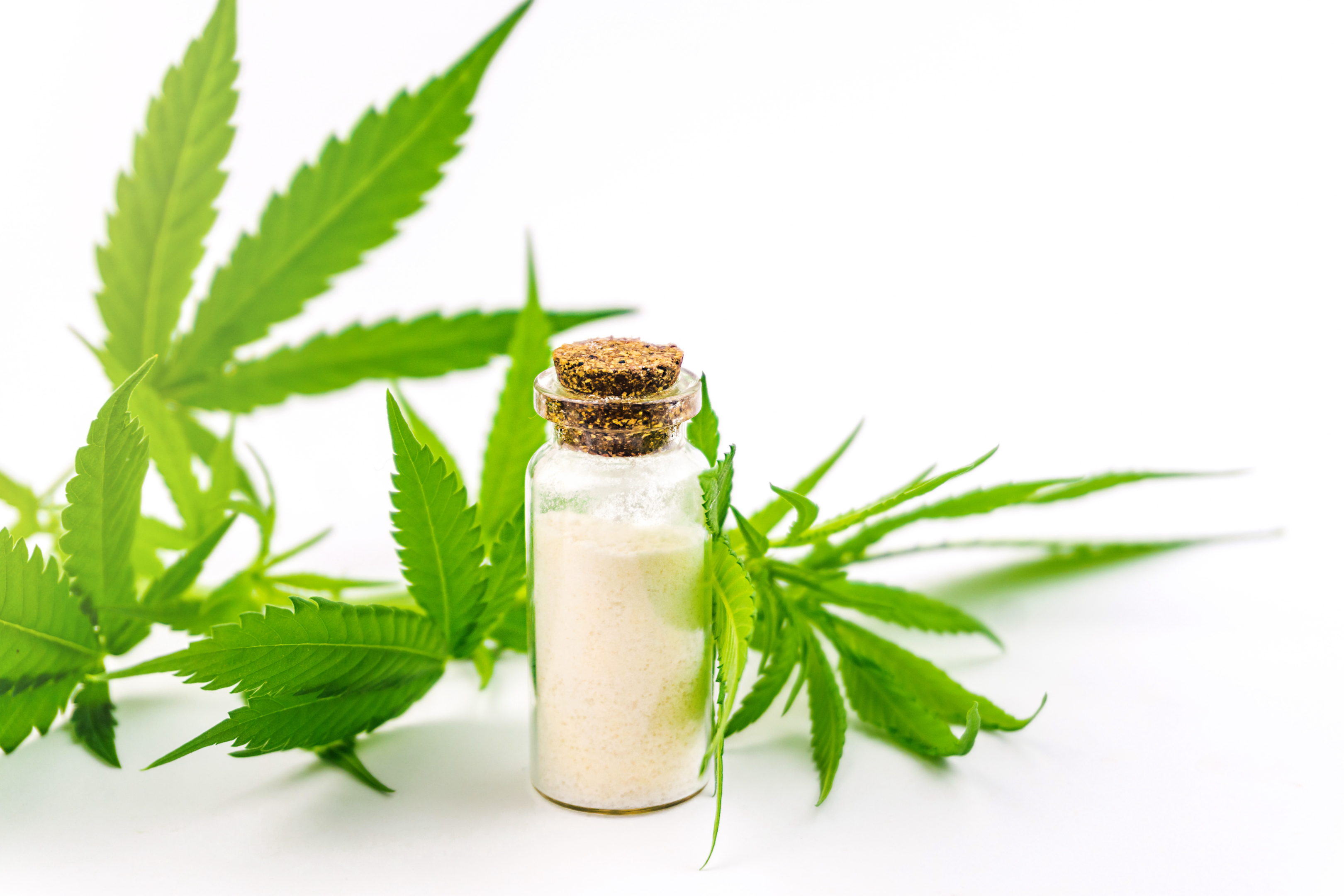 Top 10 CBD Isolate Products