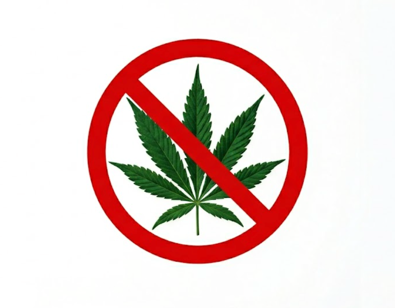 Understanding the Upcoming Hemp Ban and What It Means for You
