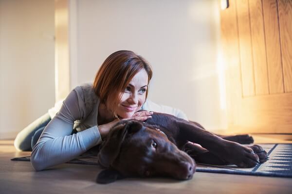 How to Incorporate CBD Into Your Pet’s Routine