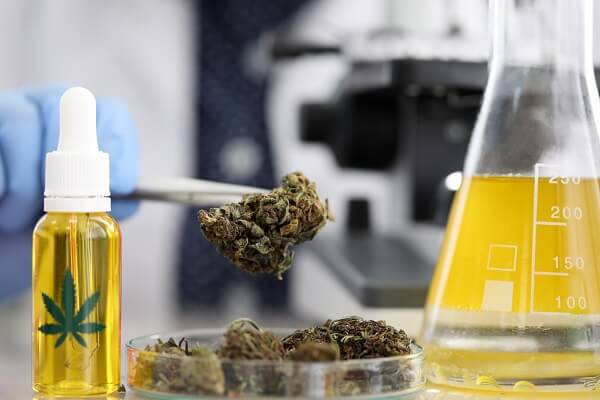 Innovative CBD Products You Might See in the Future