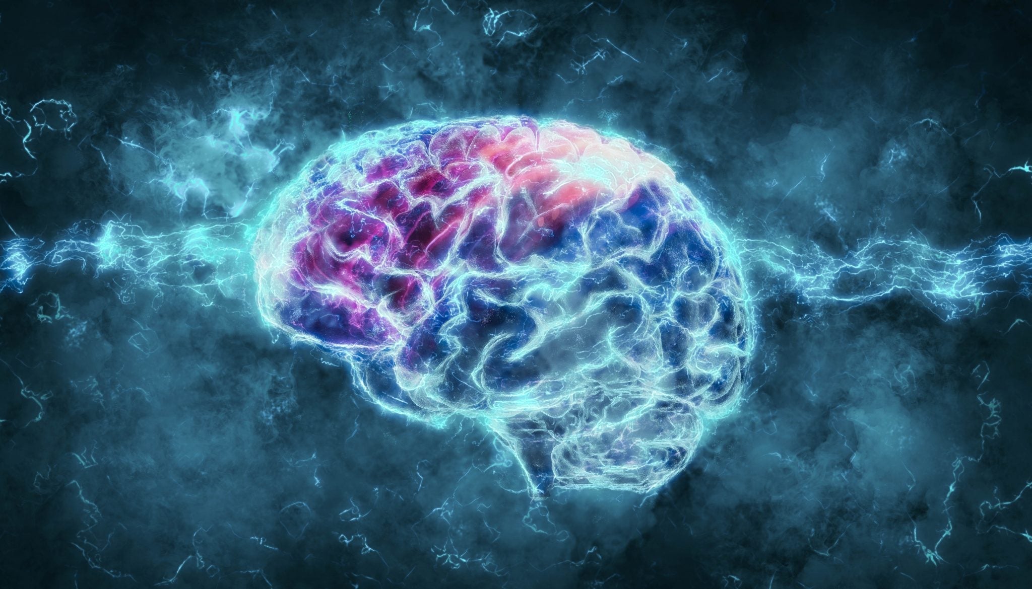 How CBD Works in The Brain