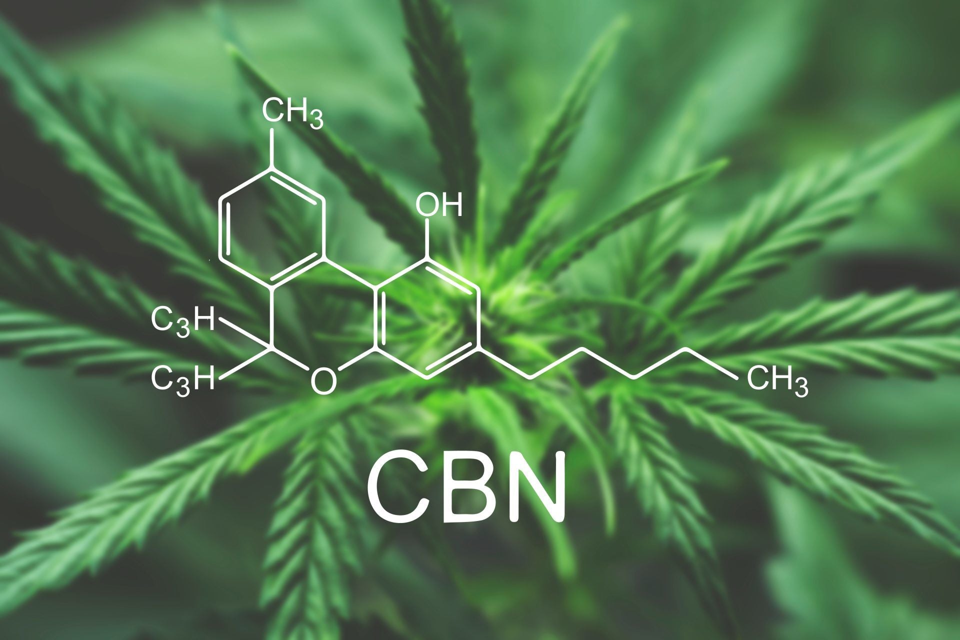 What Is CBN?
