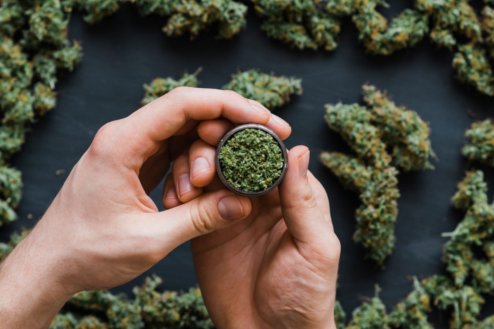 Top High-CBD Cannabis Strains