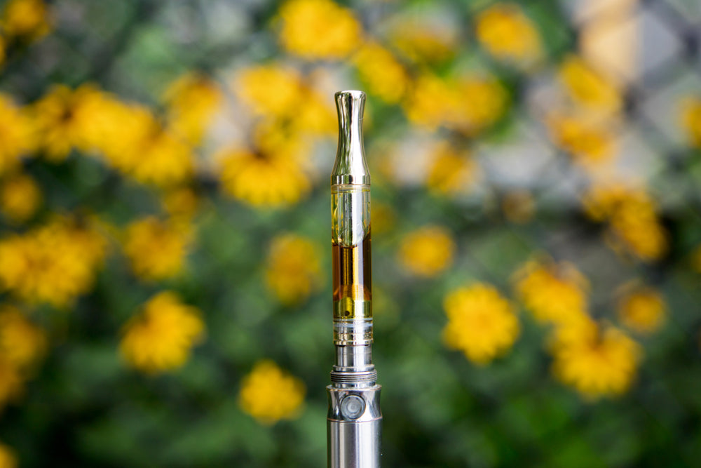 Where to Get Bulk Delta 8 THC: From Gummies to Carts Wholesale