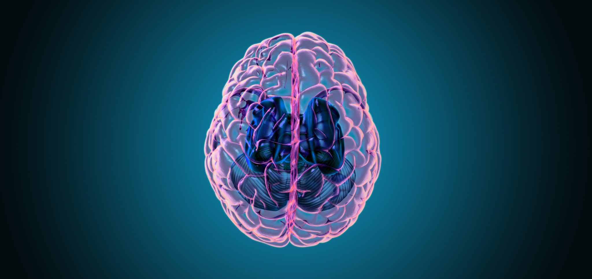 Is CBD A Nootropic For The Brain? Everything You Need To Know