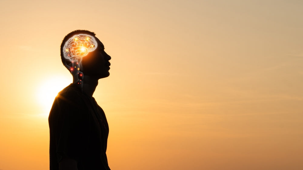 A man with a glowing brain stands at a sunset.