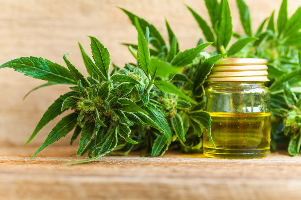 What Is HHC? Everything You Need to Know