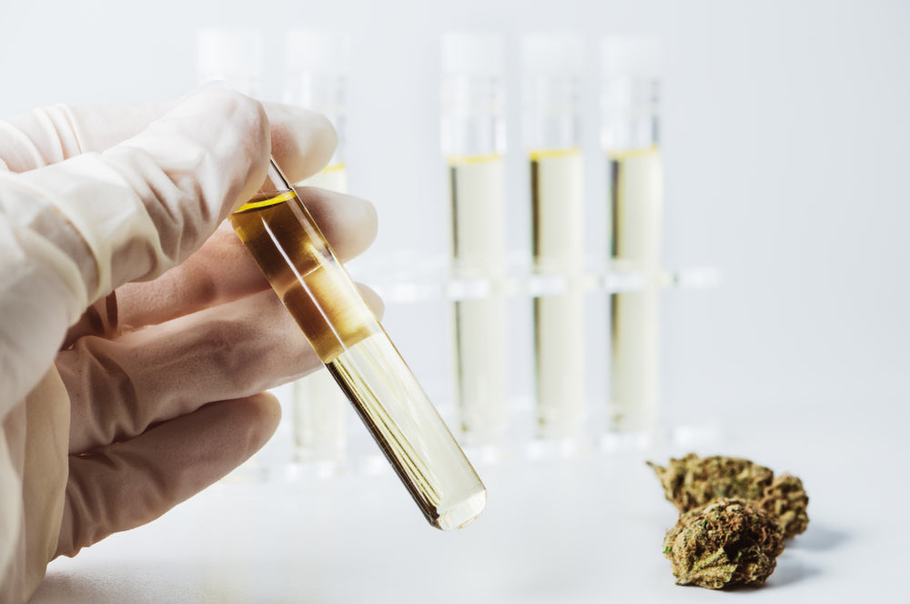 What Type of THC Is Best?