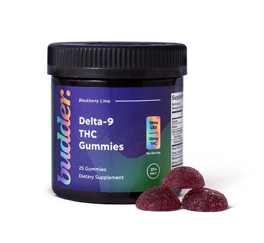 10mg THC Gummies (Blackberry Lime)