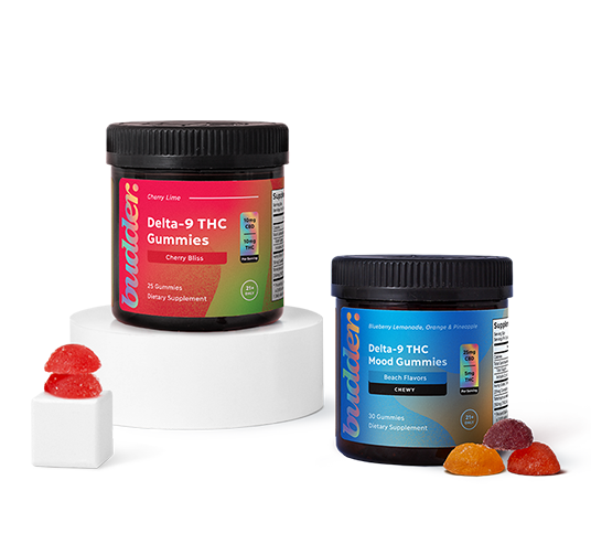 Zone Out Bundle