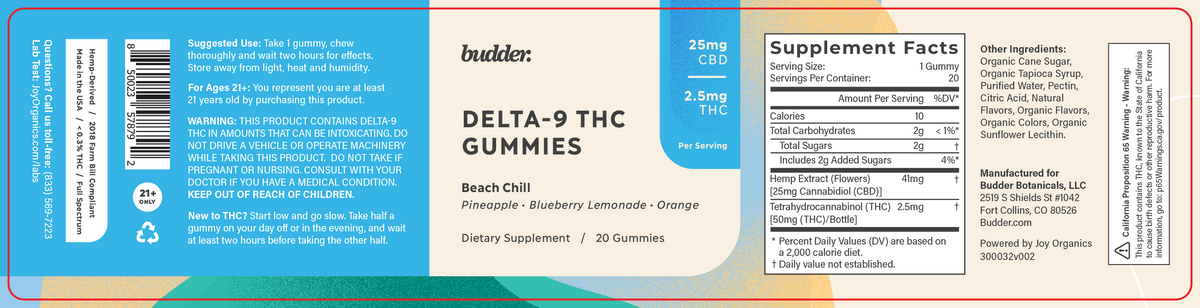 2.5mg Delta 9 THC Raw Gummies (Beach Chill)